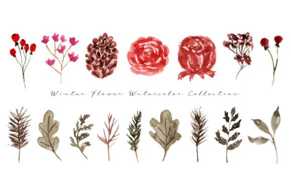 Aesthetic Winter Flower Watercolor Illustrations for Digital Sellers