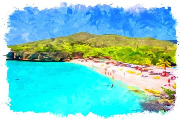 Bonaire Caribbean Watercolor: A Designer’s Honest Take