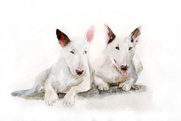 Bull Terriers Illustration in Watercolor: A Visual Asset for Lifestyle Blogs and Content Brands