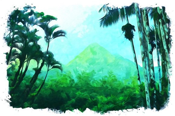 Martinique Caribbean Watercolor Illustrations for Modern Branding