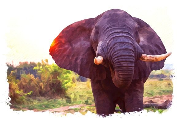 Uganda Africa Watercolor Illustrations for Digital Sellers